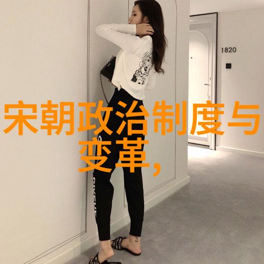 探究宋朝覆灭背后的历史力量一个关于权力斗争与外患冲击的考察