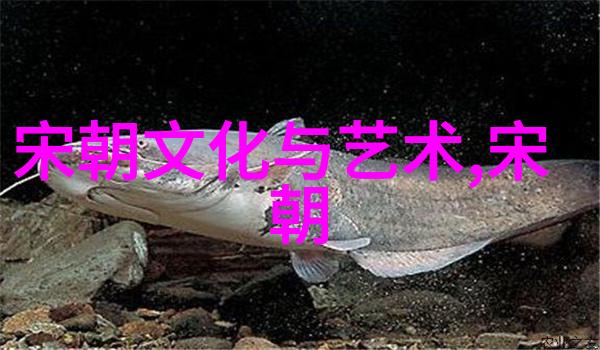 明朝那些事儿百科-红衣官员的秘密世界