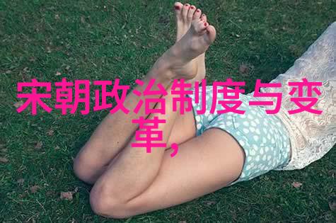 明朝盛世与衰落的对比考察