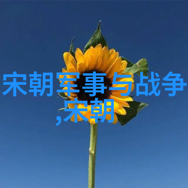 老龄健康生活-BGMBGMBGM老太太视频HD追踪银发族的健身秘诀