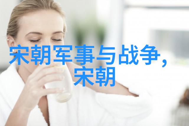 宋朝简介及历史概述中国历史的辉煌时期