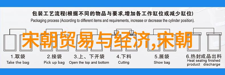 宋国历史我来讲讲从靖康之耻到南宋的抗争一个民族的百年