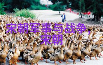 明朝历代聊聊那些年里的帝王们
