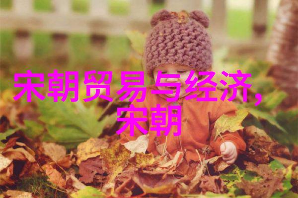 北朝风华隋朝的辉煌与变革