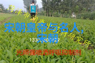光绪帝囚禁十年沉默的皇权与孤独的梦想