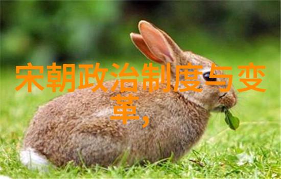 朝代排列表历代帝王的兴衰与辉煌