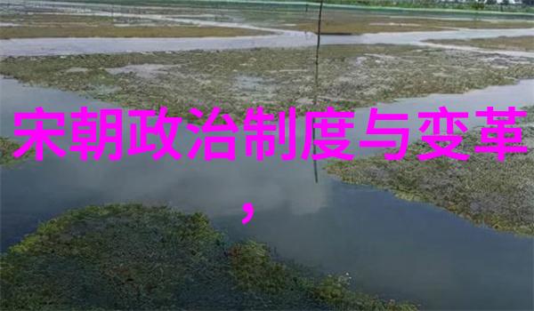 皇权斗争中的角色扮演剖析乾隆对待十三叔的态度转变