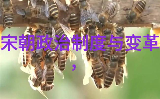 华夏长河时间的织女与历史的纷缕