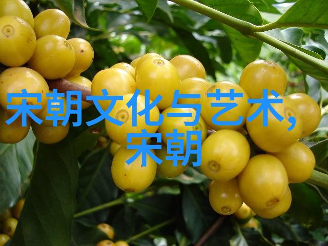 揭秘中国悠久历史一代更迭的轮回与朝代数算