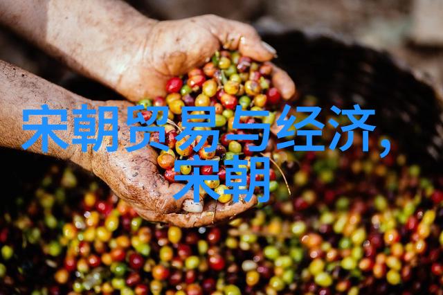 明朝哪些事儿-揭秘明朝的辉煌与衰落从永乐大航海到万历之乱