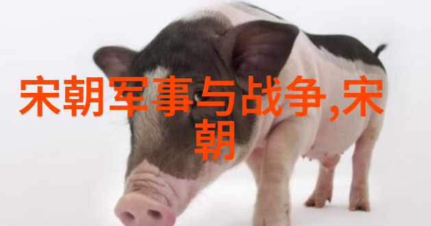 宋朝历史App探索千年辉煌的数字化方式