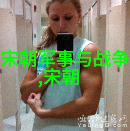 明朝those事情项中山的一统天下策略考察