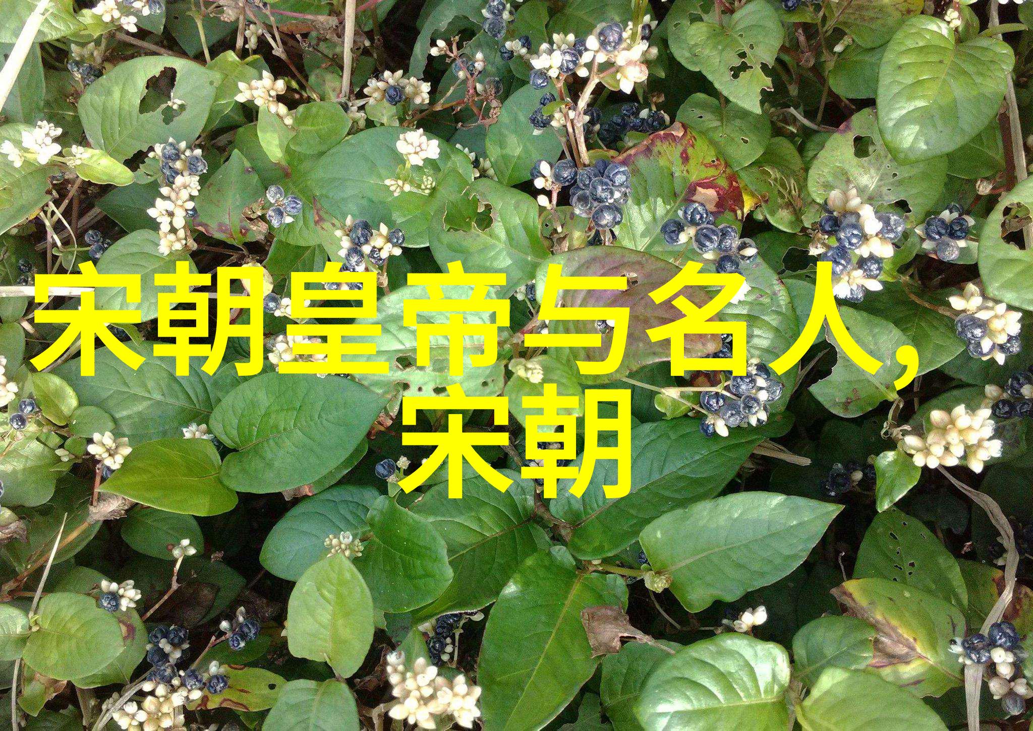 元朝覆灭之谜制度衰败民族矛盾与外患联动的历史考察