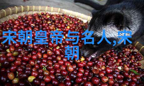 史学探究-穿越时空5000年历史顺序的编织
