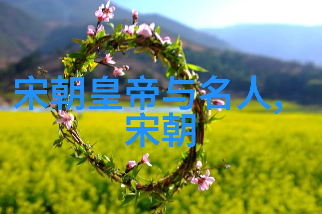 明朝的辉煌与衰落一段历史的深度剖析