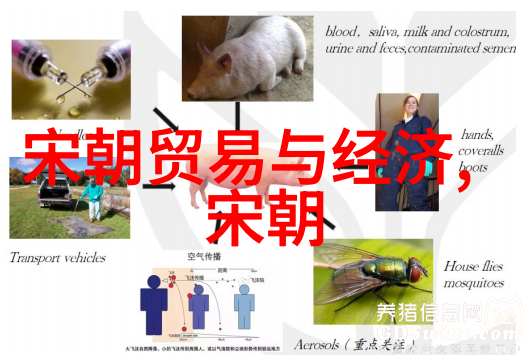 岁月静好还是乱世佳人探讨不同朝代的人文风貌