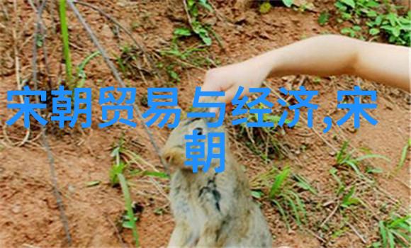 南宋历史简介中国历史上的最后一个皇朝明清交替时期