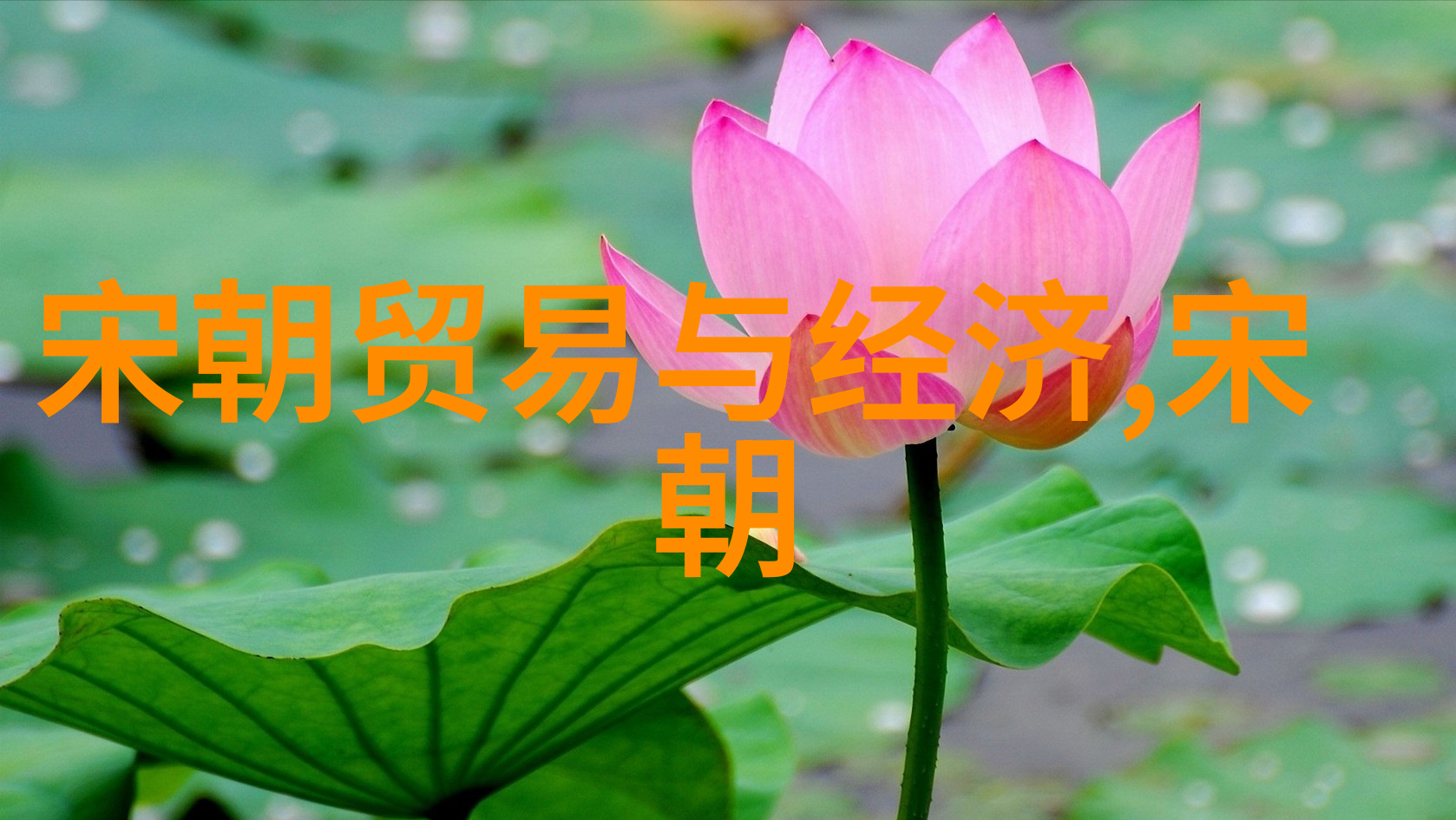 苏轼被贬黄州的故事背后隐藏着亨廷顿对文明划分的智慧