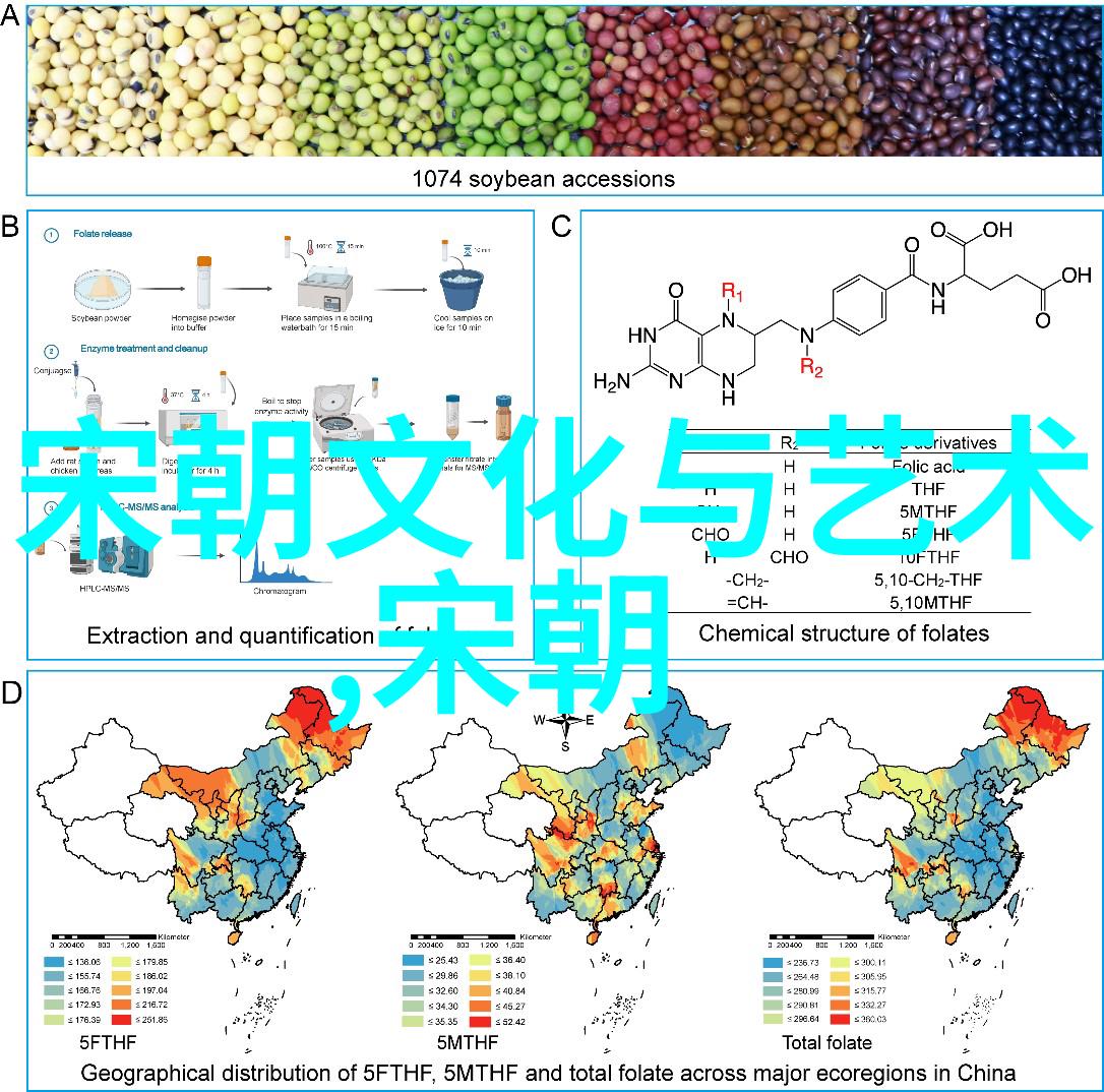 明朝-穿越时空的秘密揭秘明朝那些诡异事迹