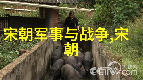明朝覆灭的阴影历史的反思与教训