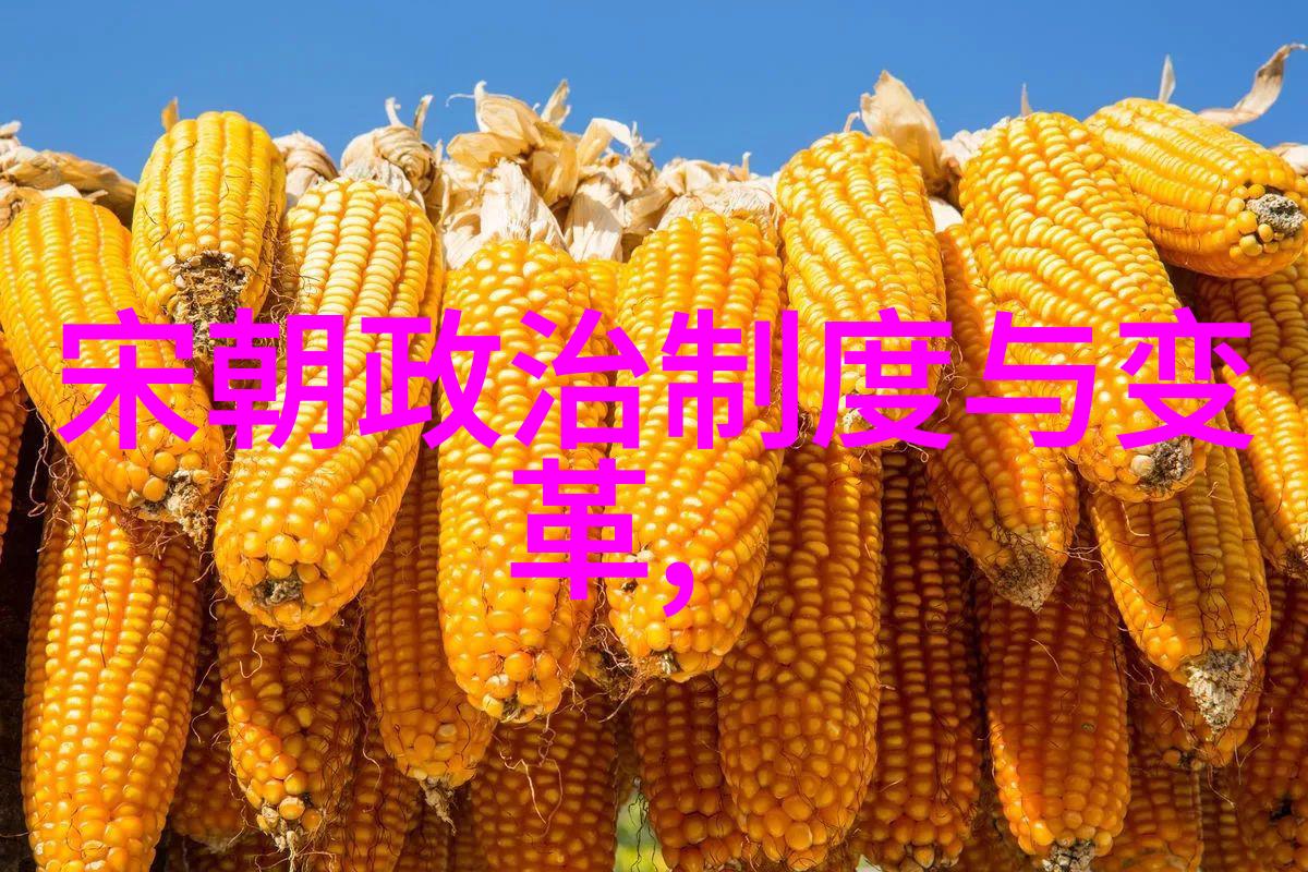 科技与创新宋朝文化价值的智慧之光