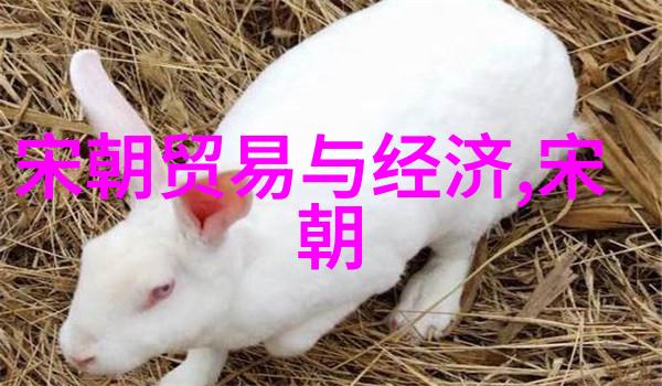 朝廷繁华与民间疾苦王更新的历史奇遇