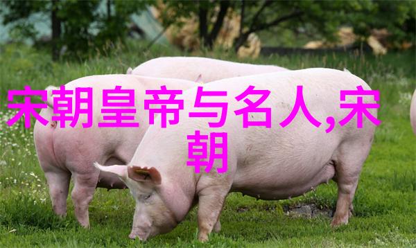 探索历史长河朝代顺序图解的魅力