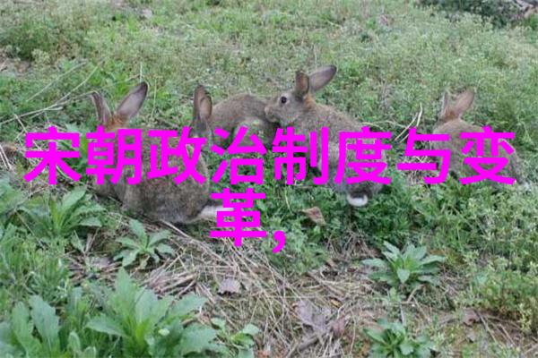 传统文化介绍中国传统节日的丰富多彩