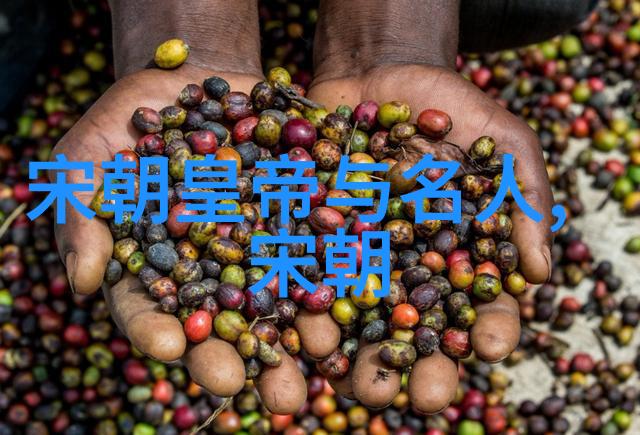 明朝的兴起与发展从朱元璋到崇祯的历史探究