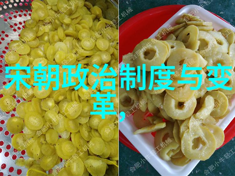 宋真宗赵匡胤从神州之主到天子登基历程