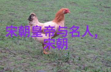 辽国之光元朝与契丹的交融历史