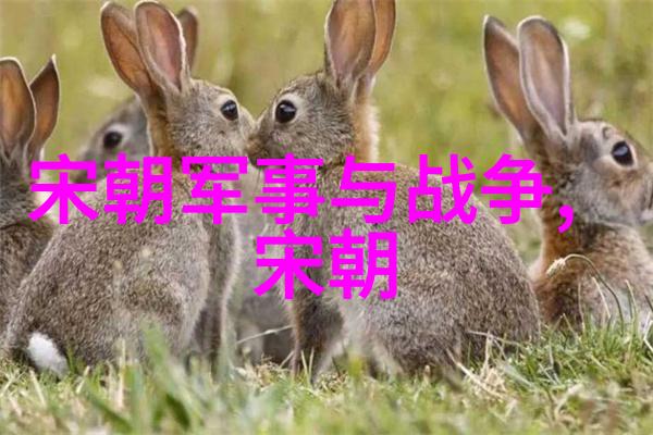 宋朝历史成就-重塑中原宋朝的文治与武功