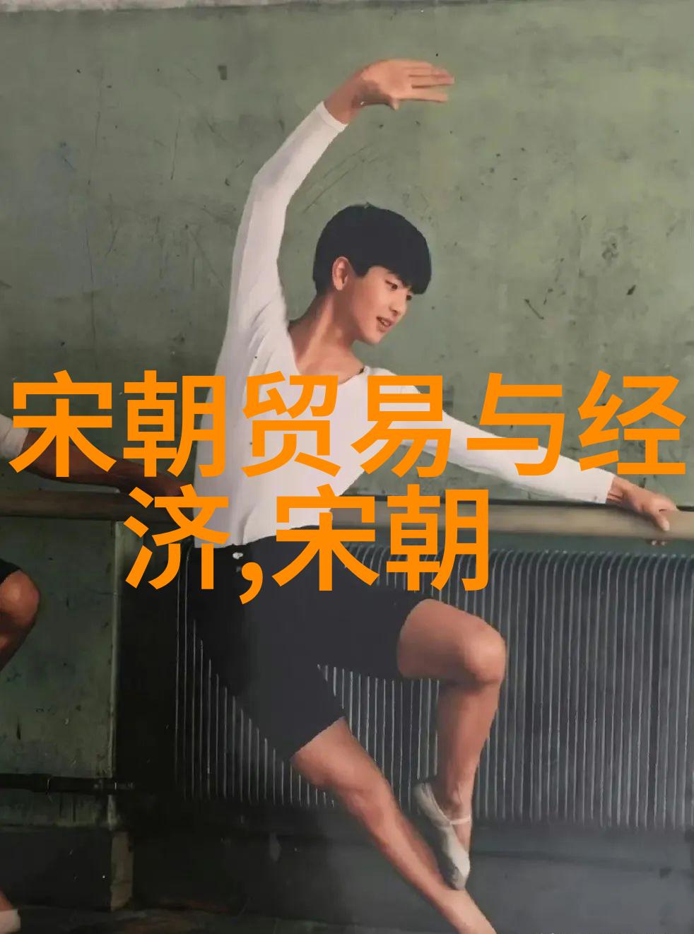 了解明朝文化享受文学之旅最佳阅读指南
