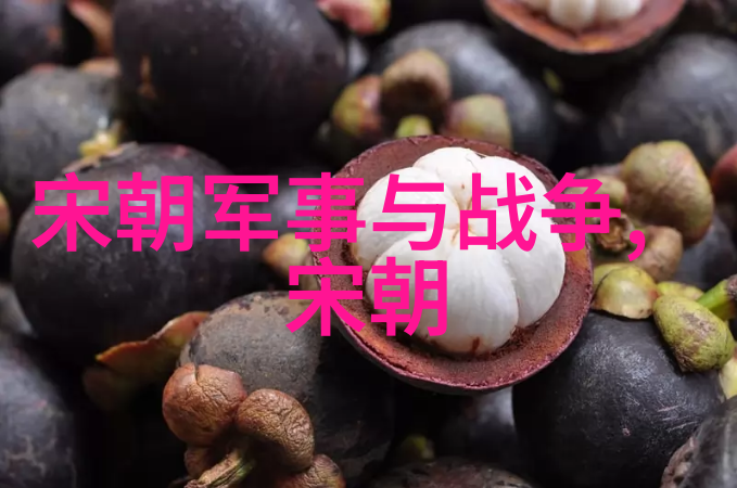 吉利可汗的孔门拳马泰鑫的精彩演绎