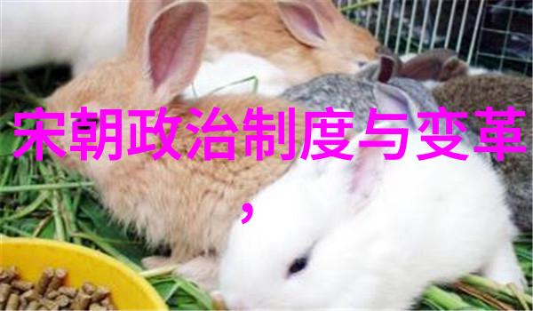 明朝第十七位帝王时光中的孤独皇者