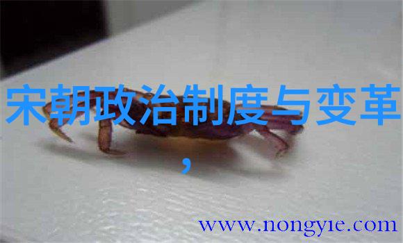 赵一荻的中国战斗机物品故事