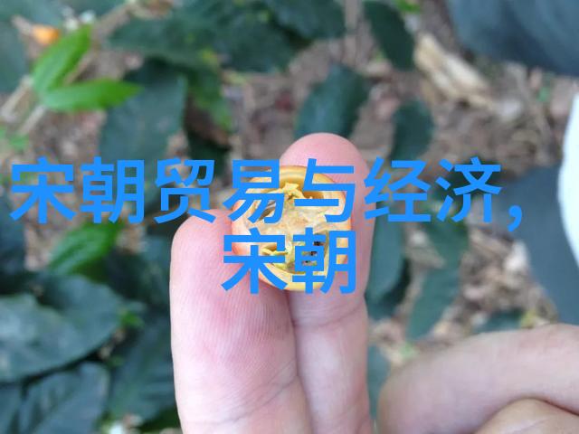 明朝英宗朱祁镇最无耻的-逆袭皇帝明朝英宗朱祁镇权谋与背后的阴谋