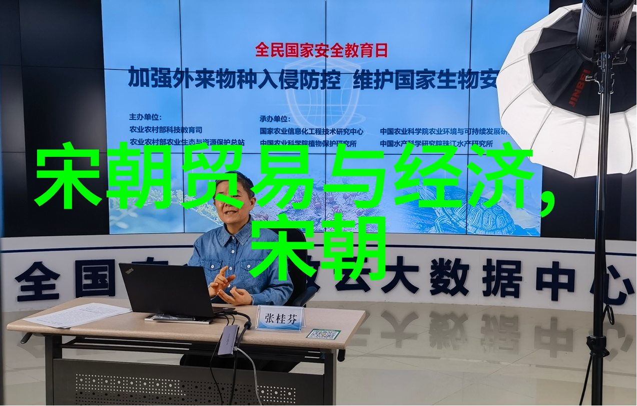 明朝历史探秘揭开龙椅下的沉默故事
