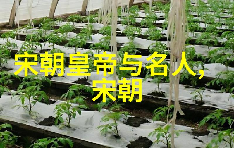 明代名流荟萃探索历史上的杰出人物与成就
