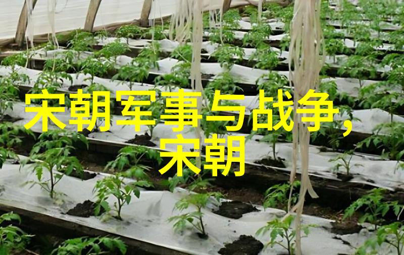 明朝秘史皇权之下的阴影与光芒