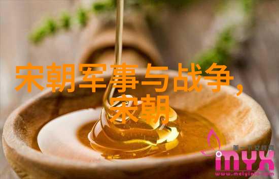 南明朝历代帝王简介追溯那些被时光遗忘的江山继承者