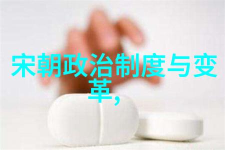 明代帝系研究揭秘每一位帝王的子嗣