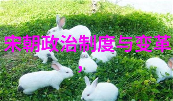 元朝风俗之谜皇帝如何在大帐中举办和平时期的狩猎盛宴