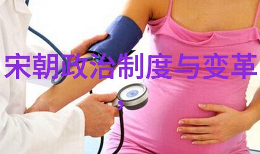 宋朝如何经历了北辽西夏和金国的压力并存续至晚期