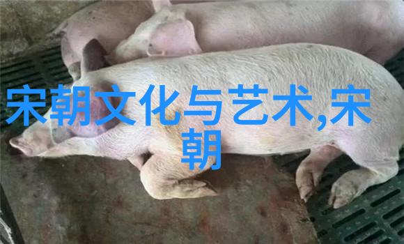 南宋覆灭考战略失误与外患相结合的悲剧
