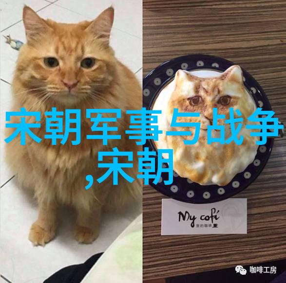 明朝名人辉煌录文治武功的璀璨篇章