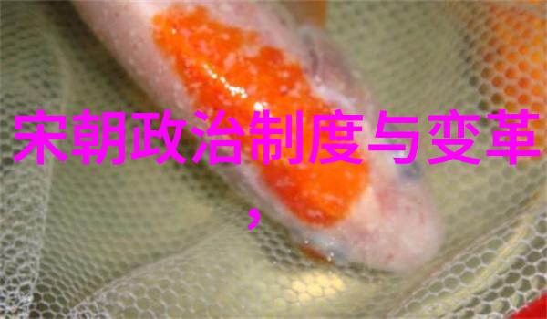 南宋覆灭考元朝之征与内忧外患