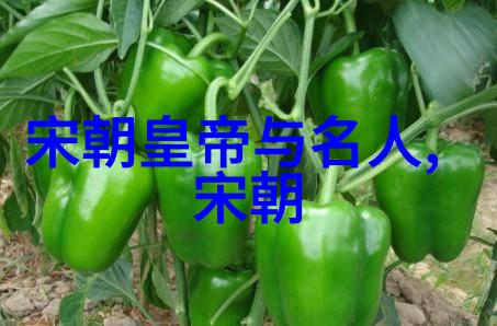 明朝最失败的沉浮江湖中的孤帆远影