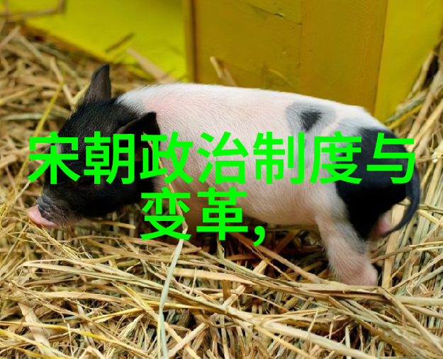 宋朝文化繁荣与外患重创历史上的一次巨大转折