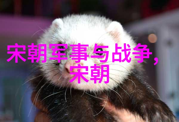 明朝的崛起与辉煌从朱元璋到弘治年间的变革与成就